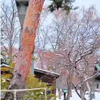 彌彦神社 (伊夜日子神社)の自然