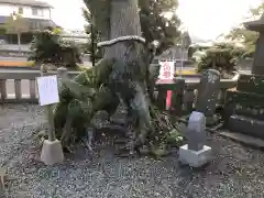 市来神社の自然