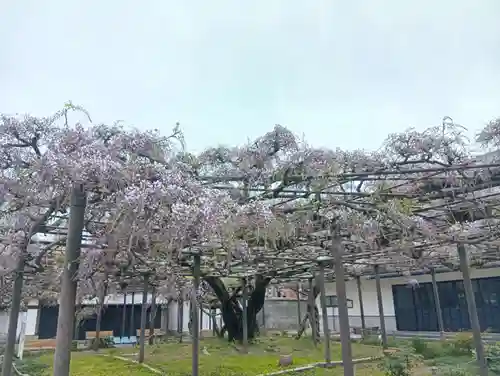竹鼻別院(岐阜県)