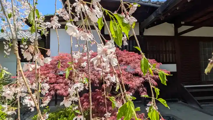 得浄明院(善光寺別院)(京都府)
