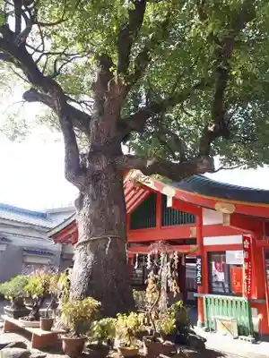 足の神様 服部天神宮(大阪府)