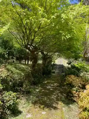 導故院(京都府)