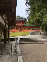 春日大社(奈良県)