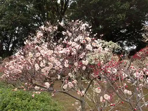 道明寺天満宮の庭園