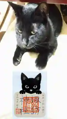 月替り御朱印 4月『猫』
透かしの御朱印です。
柏諏訪神社様の御朱印ですが､こちらでいただきました。今回は遥拝なので一緒に載せました😺