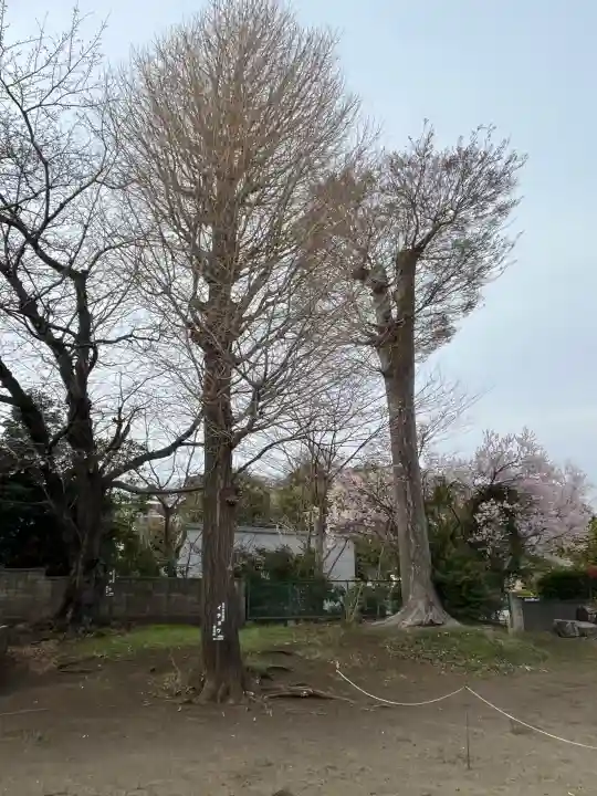 三島神社の{uncategorized: "未分類", other: "その他", undefined: "問題あり", building: "その他建物", grave: "お墓", sacred_gate: "鳥居", guardian: "狛犬", statue: "像", buddha: "仏像", history: "歴史", nature: "自然", garden: "庭園", animal: "動物", pagoda: "塔", temizu: "手水舎", mountain_gate: "山門・神門", sanctuary: "本殿・本堂", subordinate: "末社・摂社", art: "芸術", scenery: "景色", jizo: "地蔵", ema: "絵馬", goshuin: "御朱印", omikuji: "おみくじ", items: "授与品その他", amulet: "お守り", goshuincho: "御朱印帳", eats: "食事", festival: "お祭り", votive_dance: "神楽", shichigosan: "七五三参", wedding: "結婚式", experience: "体験その他", initially: "初詣", around: "周辺", anti_infection: "感染症対策"}