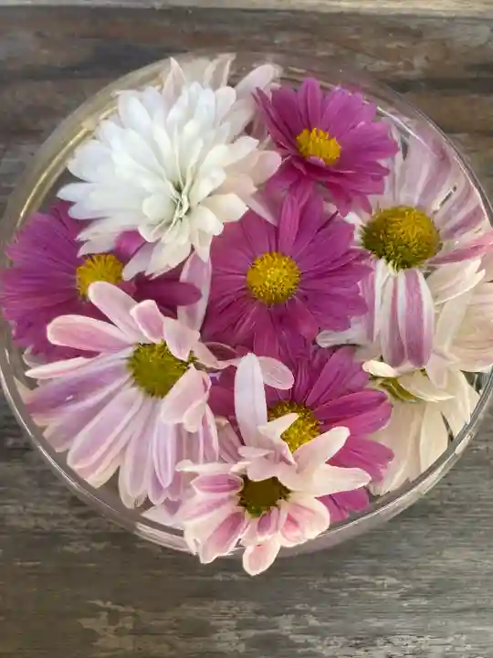 立志神社(滋賀県)