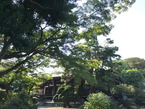 玉林寺の庭園