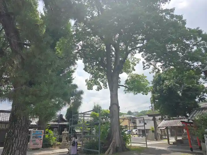 縣神社(京都府)