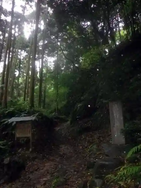 熊野神社の自然