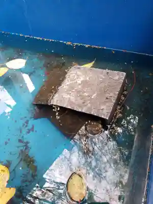 下谷神社(東京都)