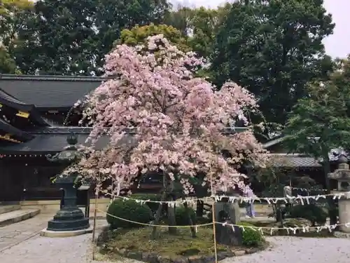 今宮神社の庭園