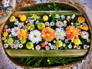 立志神社の手水舎(2021年10月17日(日) 10時14分00秒投稿)