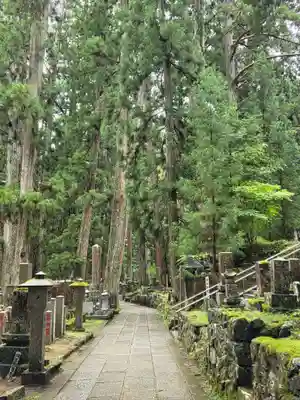 高野山金剛峯寺奥の院(和歌山県)
