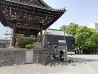 大須観音 (北野山真福寺宝生院)の動物