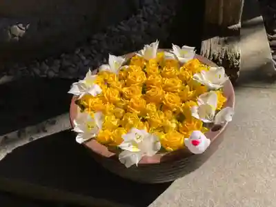 須山浅間神社(静岡県)
