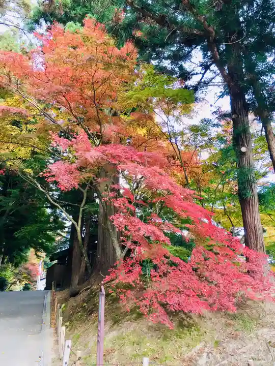 中尊寺本堂の自然