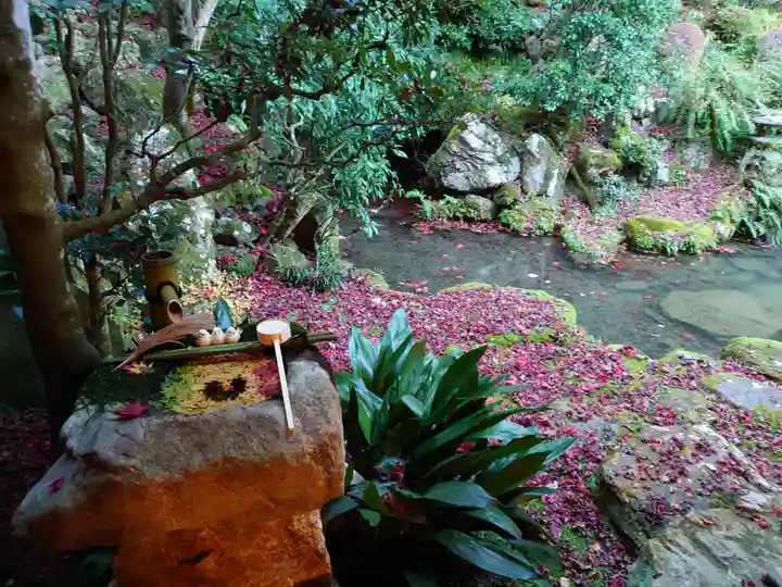 柳谷観音 楊谷寺(京都府)