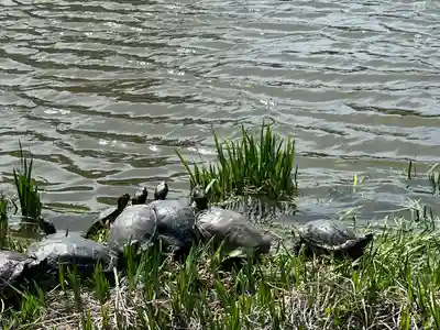 稱名寺(神奈川県)