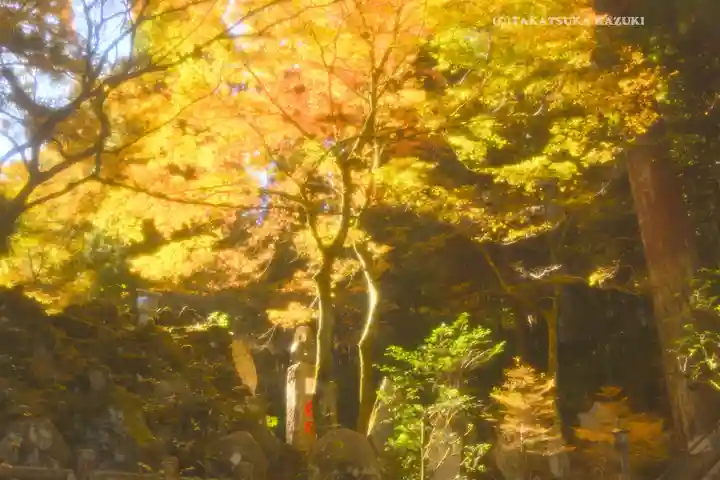 最乗寺(道了尊)(神奈川県)