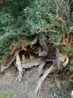 台田神社の自然