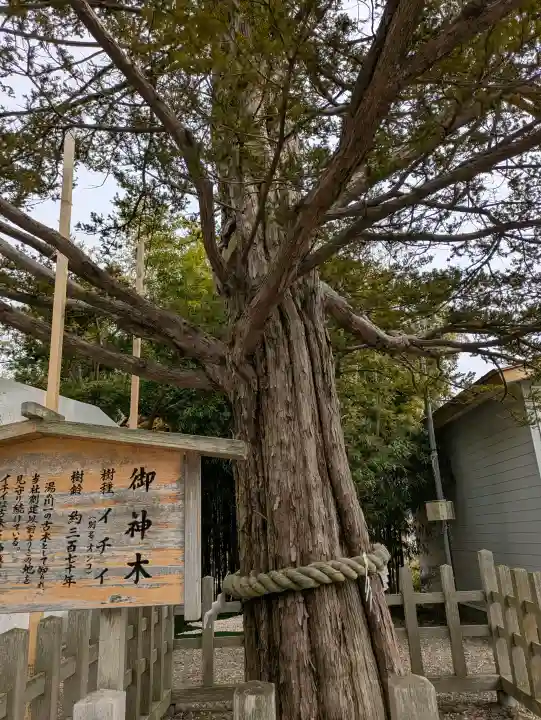 湯倉神社の{uncategorized: "未分類", other: "その他", undefined: "問題あり", building: "その他建物", grave: "お墓", sacred_gate: "鳥居", guardian: "狛犬", statue: "像", buddha: "仏像", history: "歴史", nature: "自然", garden: "庭園", animal: "動物", pagoda: "塔", temizu: "手水舎", mountain_gate: "山門・神門", sanctuary: "本殿・本堂", subordinate: "末社・摂社", art: "芸術", scenery: "景色", jizo: "地蔵", ema: "絵馬", goshuin: "御朱印", omikuji: "おみくじ", items: "授与品その他", amulet: "お守り", goshuincho: "御朱印帳", eats: "食事", festival: "お祭り", votive_dance: "神楽", shichigosan: "七五三参", wedding: "結婚式", experience: "体験その他", initially: "初詣", around: "周辺", anti_infection: "感染症対策"}