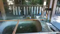 近江神宮の手水舎