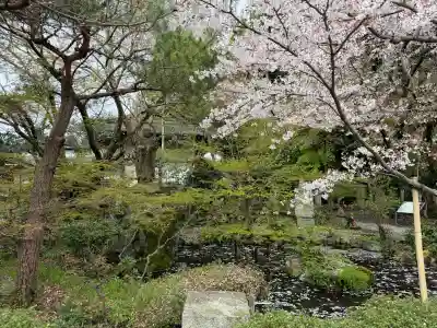 舎那院の{uncategorized: "未分類", other: "その他", undefined: "問題あり", building: "その他建物", grave: "お墓", sacred_gate: "鳥居", guardian: "狛犬", statue: "像", buddha: "仏像", history: "歴史", nature: "自然", garden: "庭園", animal: "動物", pagoda: "塔", temizu: "手水舎", mountain_gate: "山門・神門", sanctuary: "本殿・本堂", subordinate: "末社・摂社", art: "芸術", scenery: "景色", jizo: "地蔵", ema: "絵馬", goshuin: "御朱印", omikuji: "おみくじ", items: "授与品その他", amulet: "お守り", goshuincho: "御朱印帳", eats: "食事", festival: "お祭り", votive_dance: "神楽", shichigosan: "七五三参", wedding: "結婚式", experience: "体験その他", initially: "初詣", around: "周辺", anti_infection: "感染症対策"}
