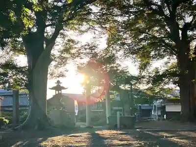 白鳥神社(長野県)