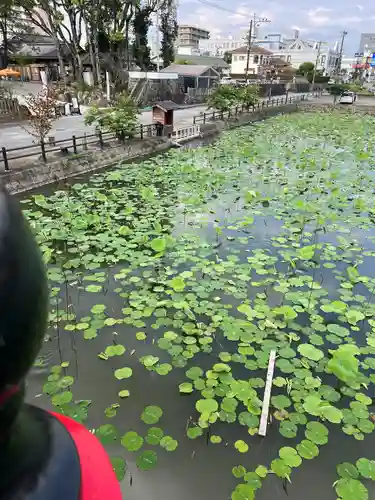 青井阿蘇神社(熊本県)