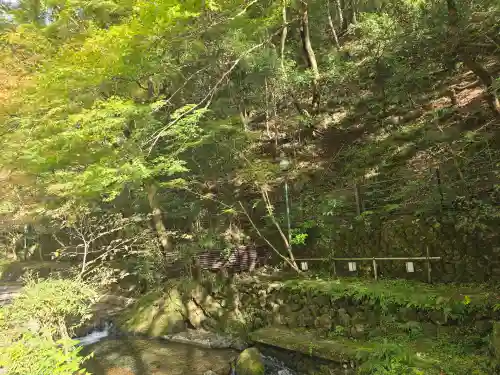 貴船神社結社(京都府)