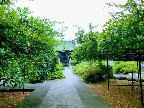 長泉寺の庭園