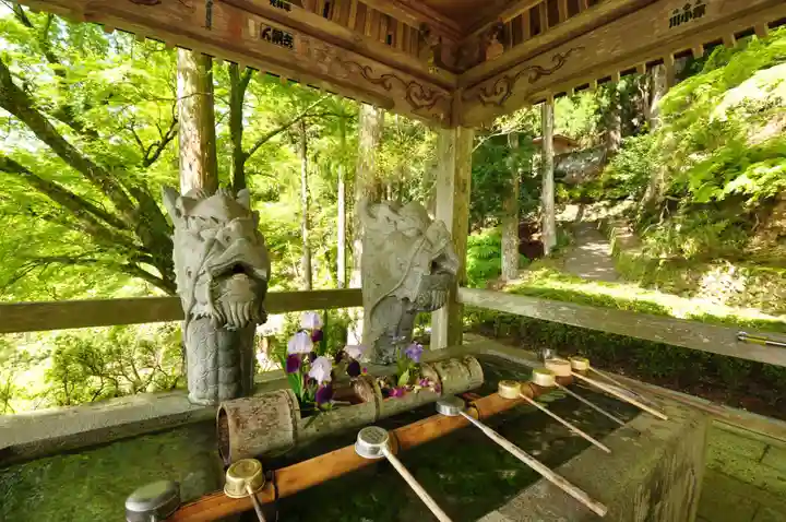 太龍寺(徳島県)