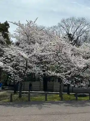 氣比神宮(福井県)