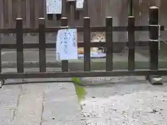 長谷寺の動物