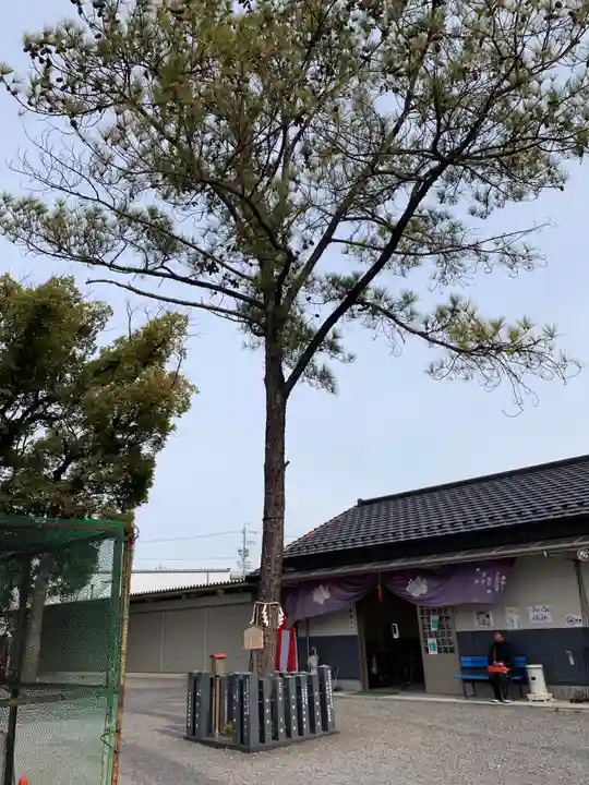 別小江神社のその他建物
