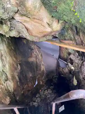 熊野那智大社(和歌山県)