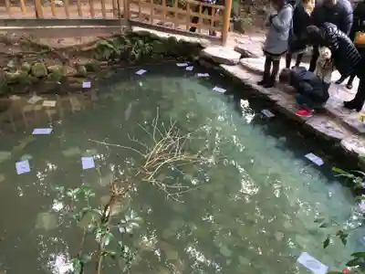 八重垣神社(島根県)