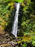 出世不動尊 の自然