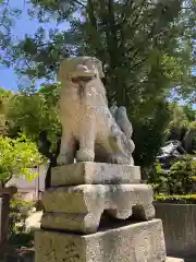 國津比古命神社の狛犬