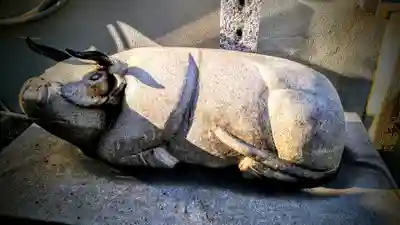 北野神社(大須)の狛犬