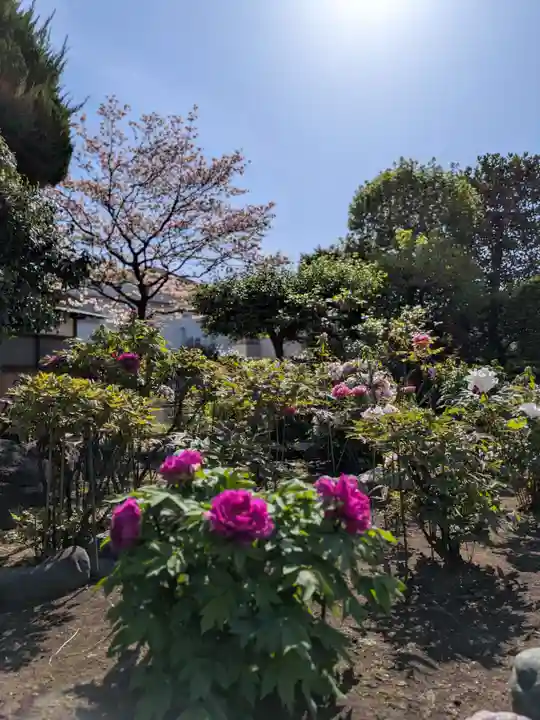禅定院(東京都)