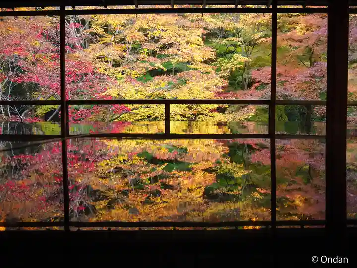 光明寺瑠璃光院(京都府)