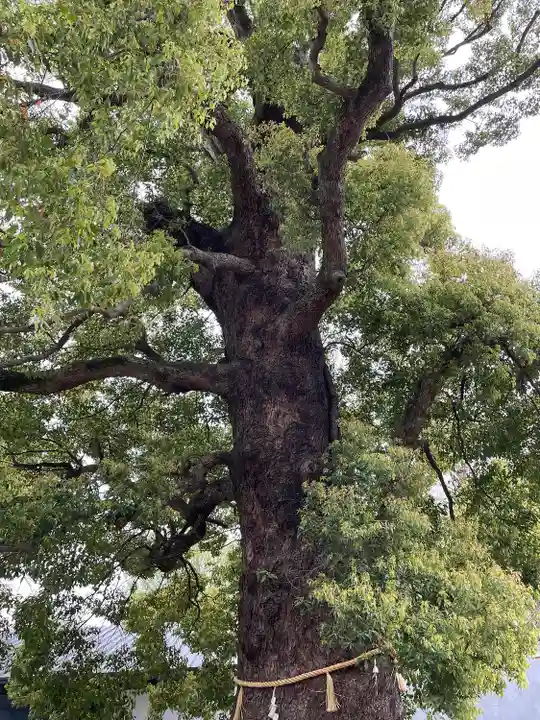 上野東照宮(東京都)
