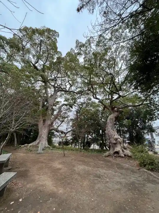 薦神社(大分県)