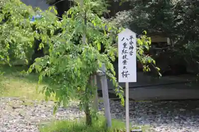 福井県護国神社(福井県)