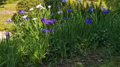 法金剛院(京都府)