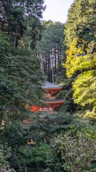 岩船寺(京都府)