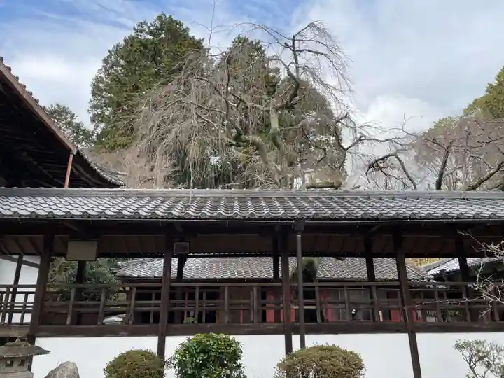 十輪寺のその他建物