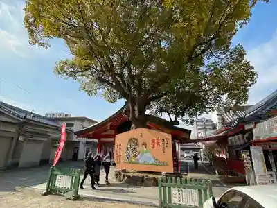 足の神様 服部天神宮の絵馬